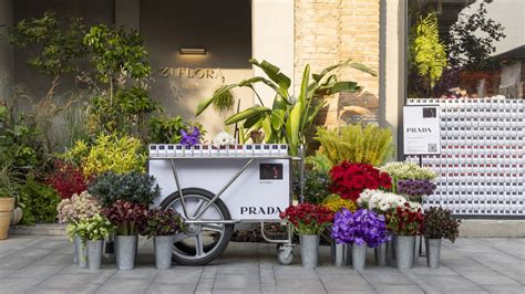 prada flower shop